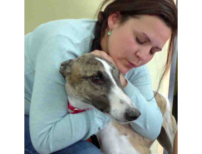 $50 Gift Certificate toward Boarding or Training, Sol Dog Lodge, Tucson AZ