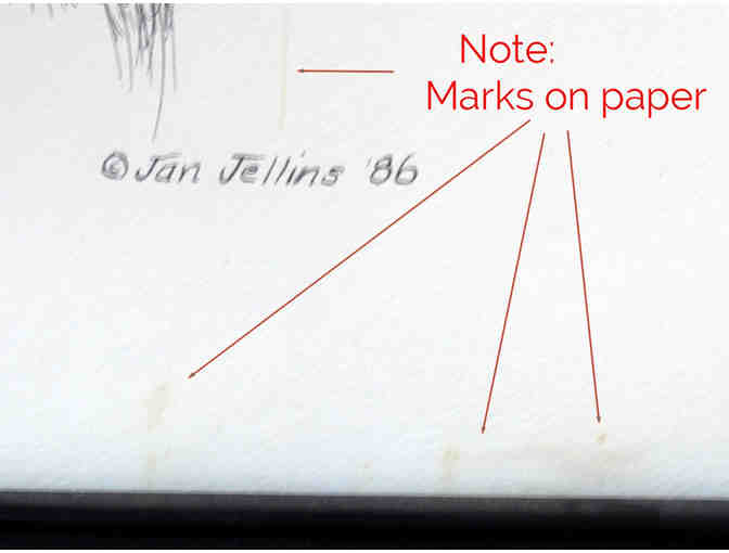 Greyhound Portrait by Jan Jellins - Framed