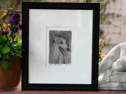 Greyhound Print of a Pen/Brush & Ink Drawing by C. Parke - Framed - Opening Bid Reduced