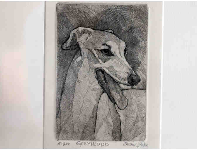 Greyhound Print of a Pen/Brush & Ink Drawing by C. Parke - Framed - Opening Bid Reduced