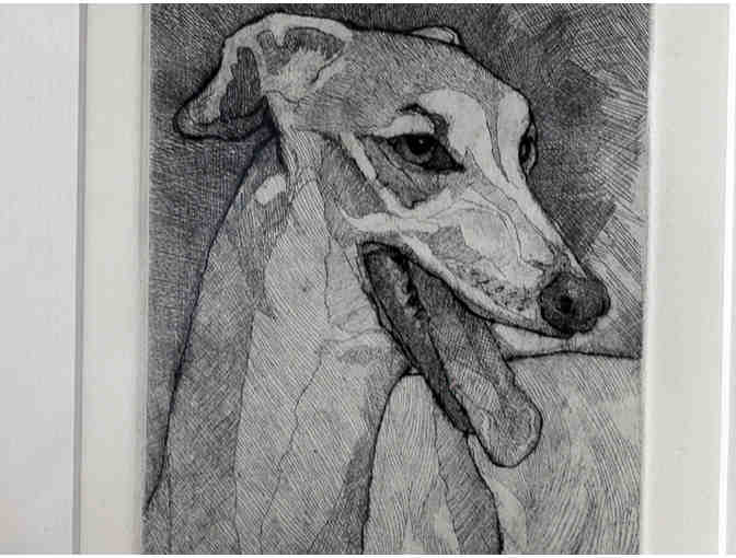 Greyhound Print of a Pen/Brush & Ink Drawing by C. Parke - Framed - Opening Bid Reduced