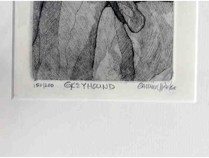 Greyhound Print of a Pen/Brush & Ink Drawing by C. Parke - Framed - Opening Bid Reduced