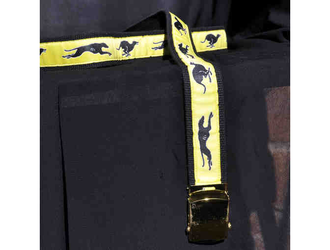 Greyhound Belt - Black Web and Ribbon