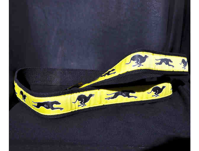 Greyhound Belt - Black Web and Ribbon