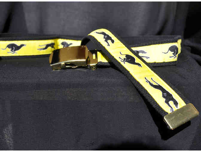 Greyhound Belt - Black Web and Ribbon - Photo 3