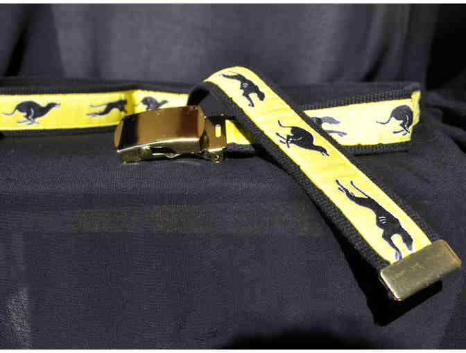 Greyhound Belt - Black Web and Ribbon