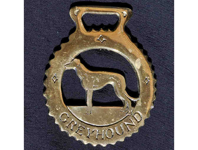 Decorative Brass Horse Harness Ornament or Medallion - Greyhound or Whippet