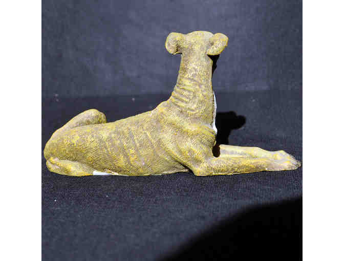 Greyhound/Whippet - Reclining - Cast and Painted Resin Sculpture/Statue