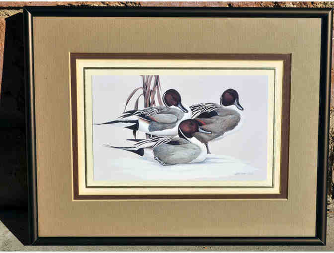 Vintage Duck Art Prints (2) - Framed - Prints Watercolors by Art LaMay - Open Bid Reduced