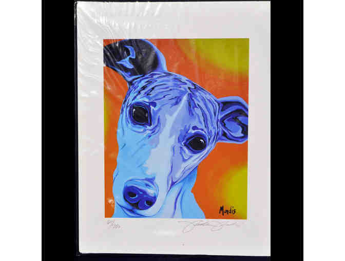 Print of Colorful Greyhound/Whippet - Signed/Numbered/Matted/Unframed - by M. Mondis