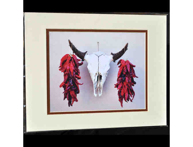 Photo - Cow Skull and Ristra - Matted - Photographer Unknown - Opening Bid Reduced