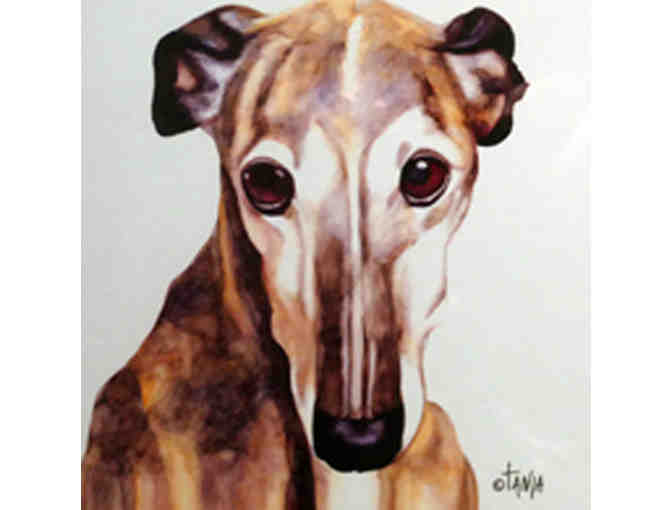 Greyhound Named Janish - Framed Print - From Original Watercolor by Tanja Kooymans
