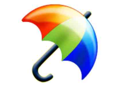 Monsoon Madness - Umbrella - $500