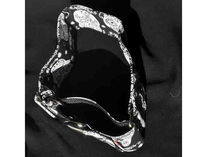 Martingale Collar - Made for Greyhounds by 4GUAUS