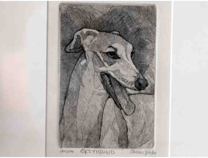 Greyhound Print of a Pen/Brush & Ink Drawing by C. Parke - Framed