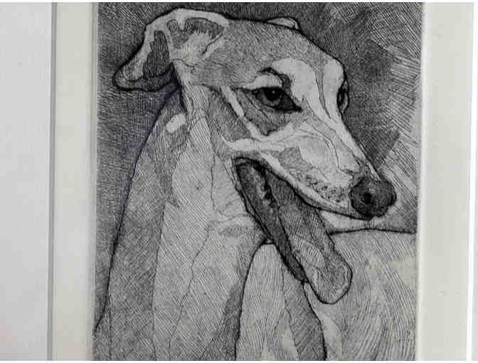 Greyhound Print of a Pen/Brush & Ink Drawing by C. Parke - Framed