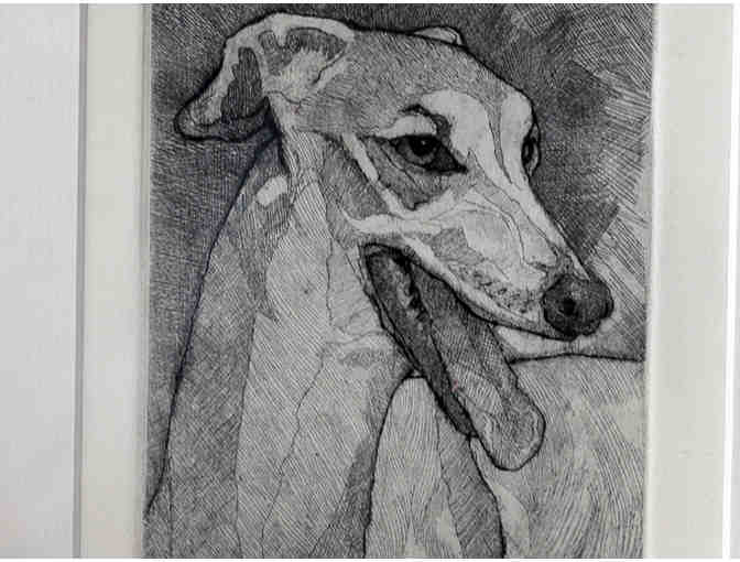 Greyhound Print of a Pen/Brush & Ink Drawing by C. Parke - Framed