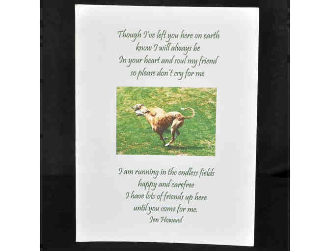 Cards (4) - Greyhound Sympathy Cards - 2 Blank & 2 With Sentiments Inside