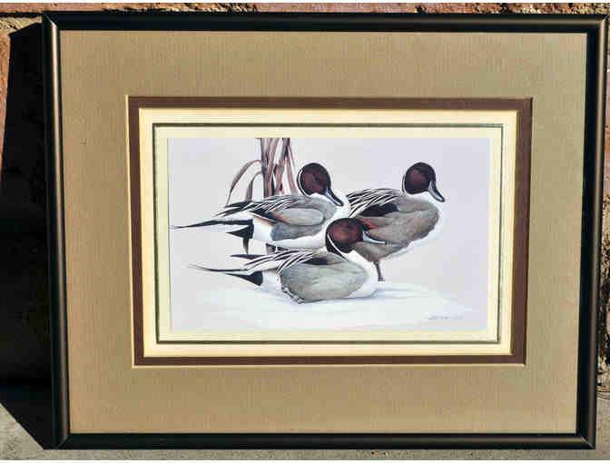 Vintage Duck Art Prints (2) - Framed - Prints Watercolors by Art LaMay