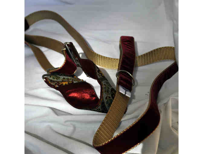 Martingale Collar/Leash - One-Piece - Made by DeckerDawgDesigns