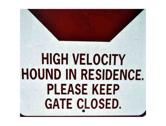 Metal Sign - STOP High Velocity Hound In Residence. Please Keep Gate Closed