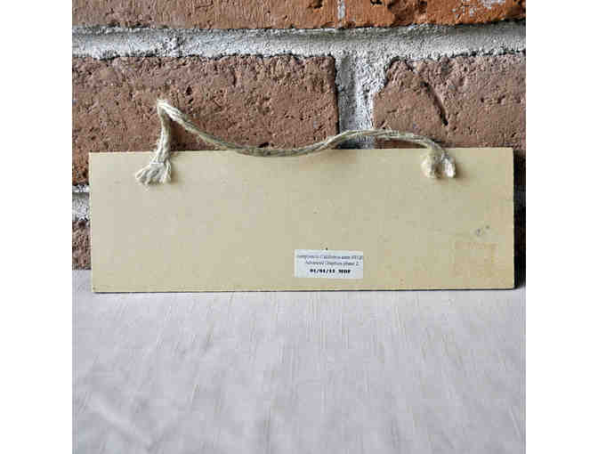 Sign on Wood - 'Welcome' with 3 Hounds