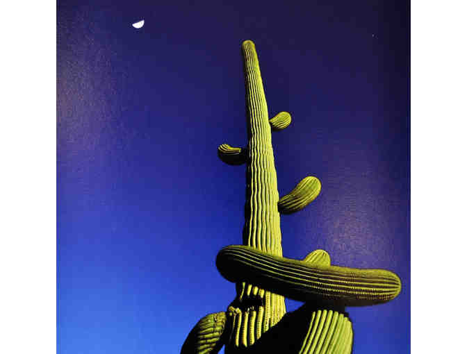 Pair of Desert Themed Original Matted Photos by Jim Eaton