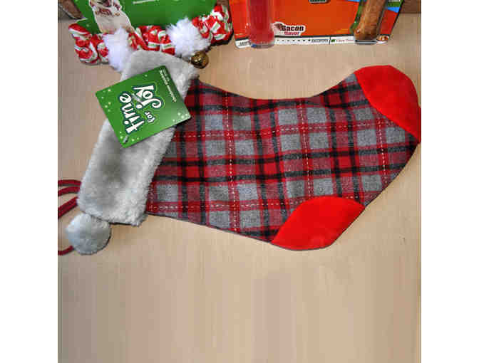 Holiday Stocking, Festive Collar, and Three Nylabone Chews