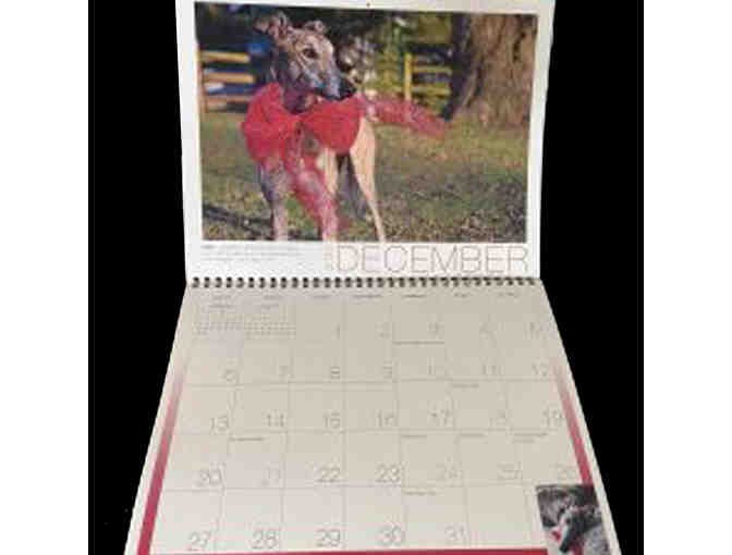 2021 Celebrating Greyhounds Calendars