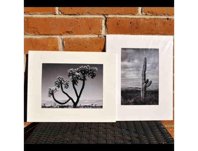Pair of Black and White Desert Themed Original Matted Photos by Jim Eaton