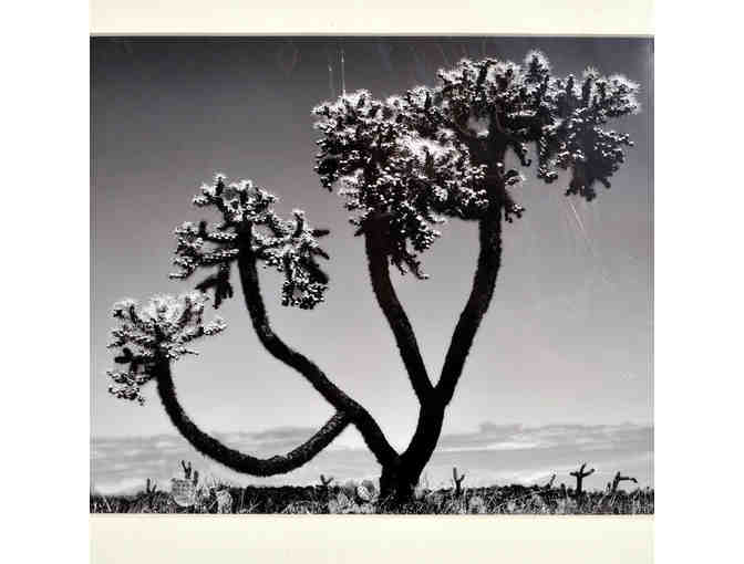 Pair of Black and White Desert Themed Original Matted Photos by Jim Eaton