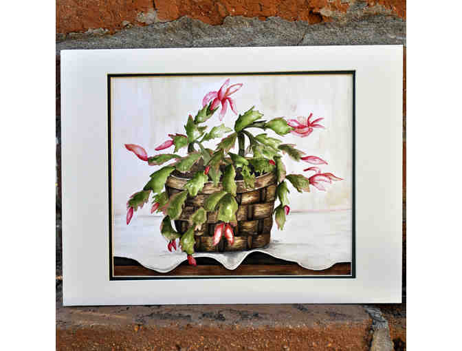 Watercolor - Christmas Cactus In Bloom - Matted/Unframed by Marlene Koch