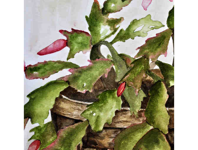 Watercolor - Christmas Cactus In Bloom - Matted/Unframed by Marlene Koch