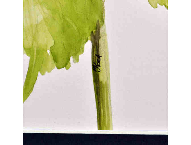 Watercolor - Hydrangea Flowers - Matted/Unframed by Marlene Koch