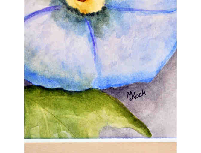 Watercolor - Morning Glory Flowers - Matted/Unframed by Marlene Koch