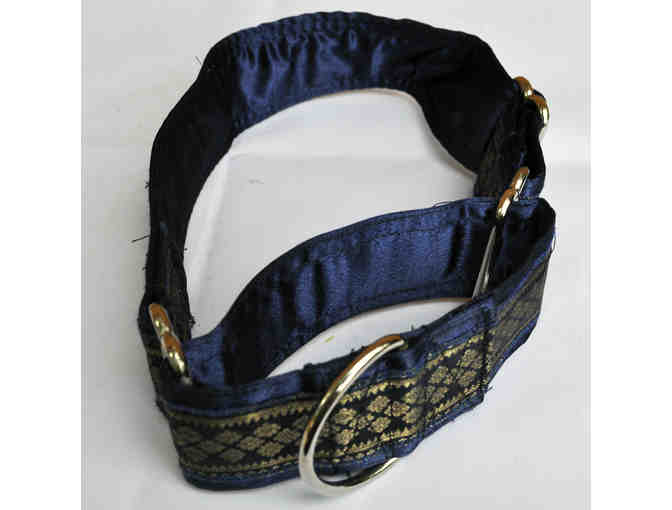 Martingale Collar - 1 1/2' - Blue and Gold