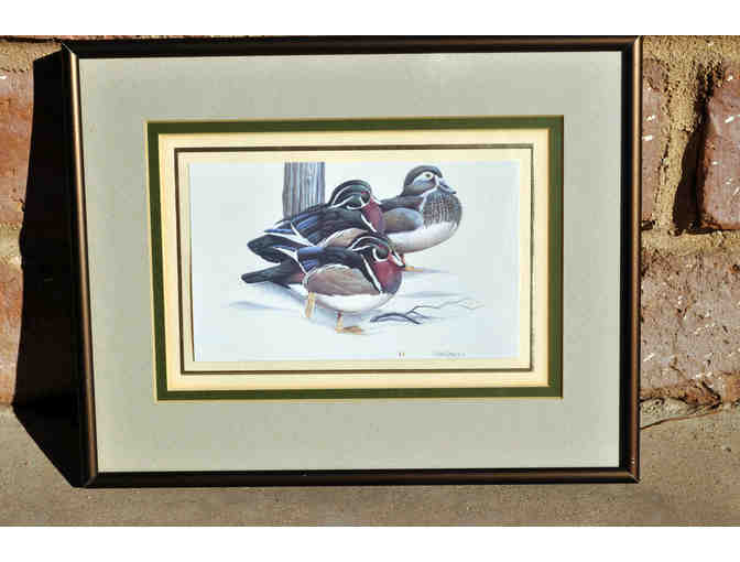 Vintage Duck Art Print Pair - Framed - Prints by Art LaMay
