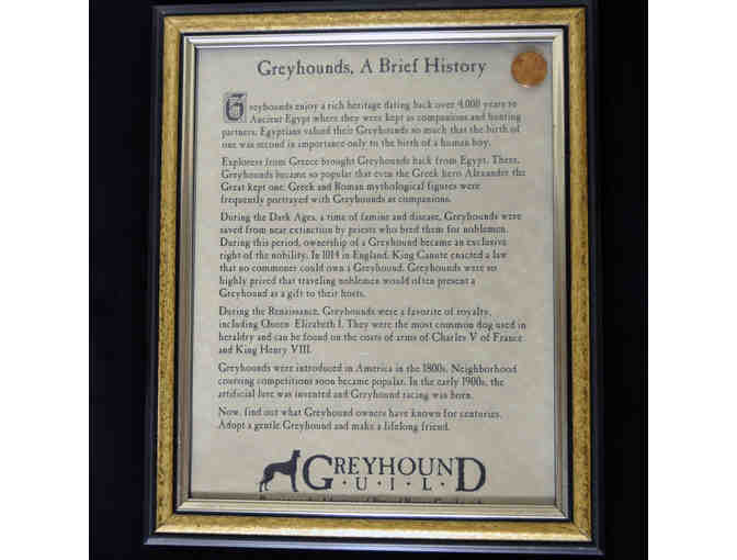 Greyhounds, A Brief History - Framed