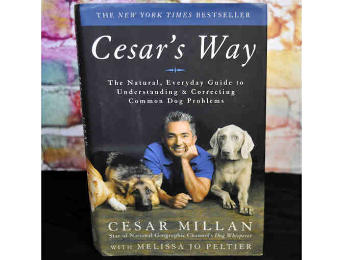 Cesar's Way by Cesar Millan