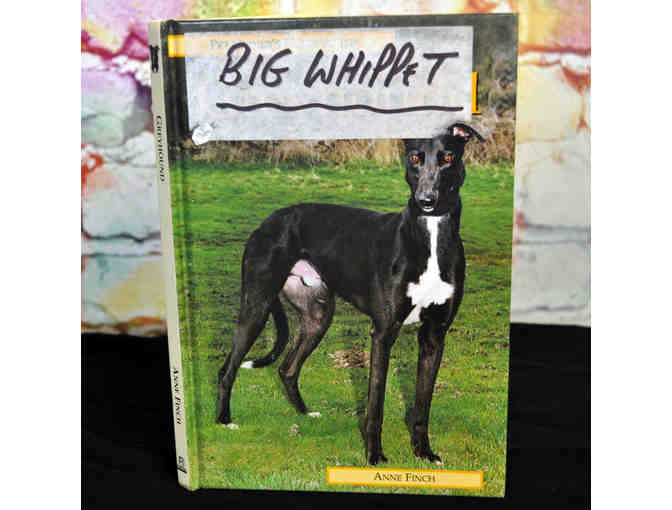 Pet Owner's Guide to the Greyhound by Anne Finch