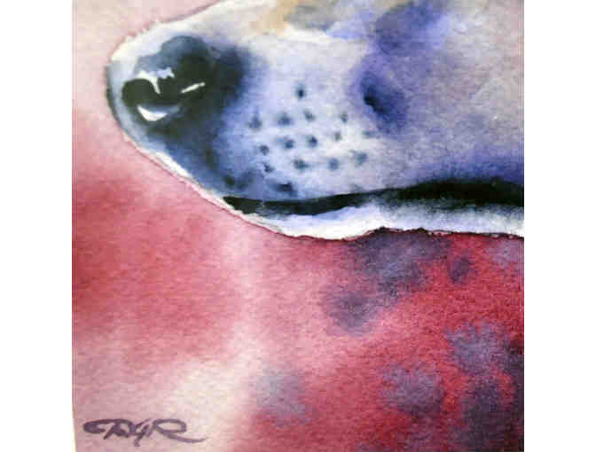 Greyhound Contemporary Watercolor Art Print by David J Rogers