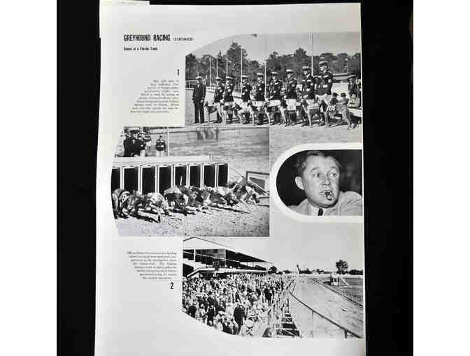 Life Magazine - January 25, 1937 - Pages 22-25