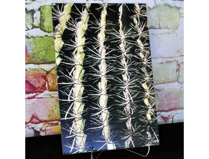 Saguaro Closeup - Original Photo On Composite Board