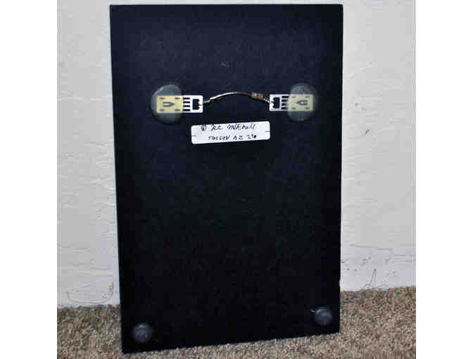 Saguaro Closeup - Original Photo On Composite Board