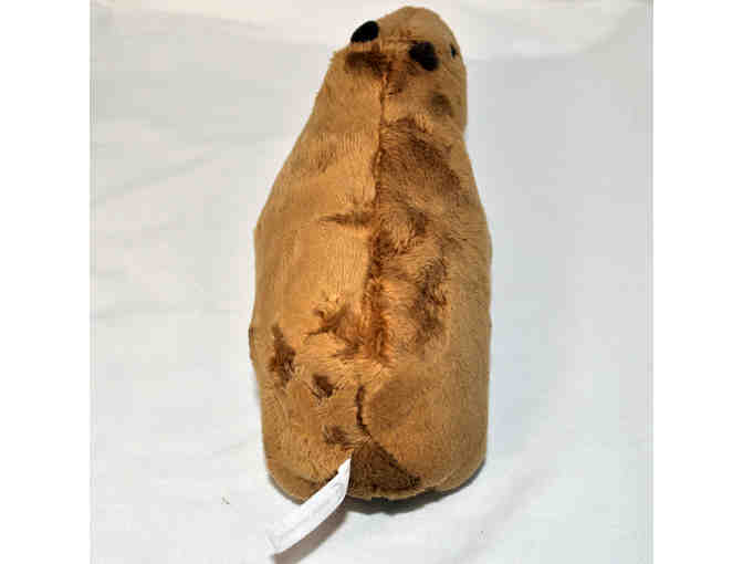 Capybara Plush Dolls - Toy for Kids - Stuffed Animal
