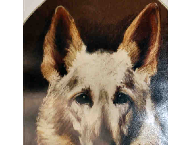 Dog By Sargio De Michiel