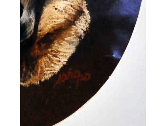 Dog By Sargio De Michiel