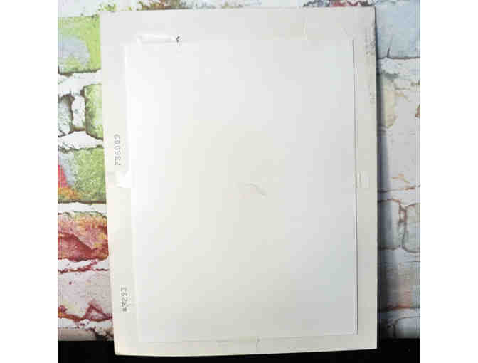 Dog By Sargio De Michiel