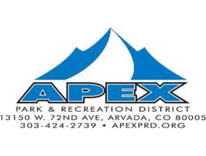 Day Passes to APEX x4
