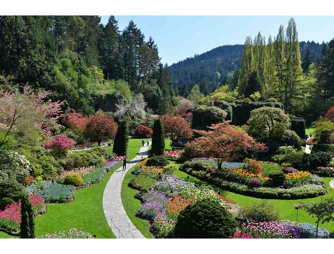 GARDEN TOUR AND AFTERNOON TEA AT THE BUTCHART GARDENS